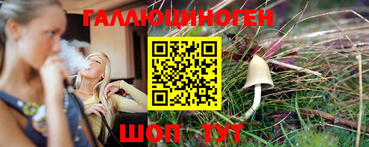 Псилоцибиновые грибы Psilocybine cubensis  Вход с VPN  Ефремов  Псилоцибиновые грибы прущие грибы 