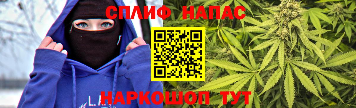 Бошки марихуана сатива Ефремов